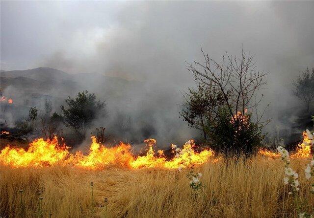 گرفتار شدن نیروهای منابع طبیعی در ارتفاعات باشت، نیاز شدید به بالگرد برای مهار آتش