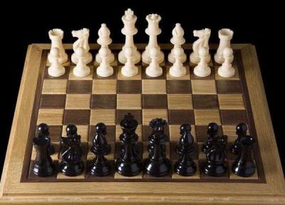 حامدی نیا: حمایتی از شطرنج بازان صورت نمی گیرد