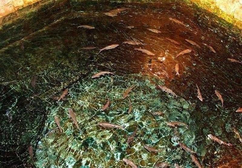 حوض ماهی سعدی با خاک یکسان شد