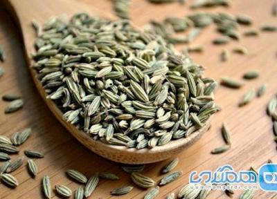رازیانه؛ گیاهی شگفت انگیز برای بانوان