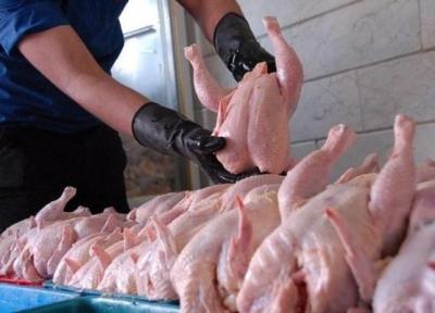 ترویج فرهنگ استفاده از مرغ با وزن استاندارد تضمین سلامت مصرف کننده