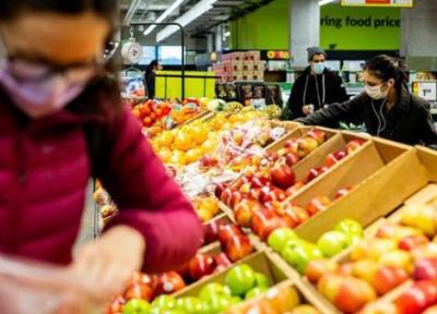 افزایش قیمت مواد غذایی در جهان رکورد 10 ساله زد
